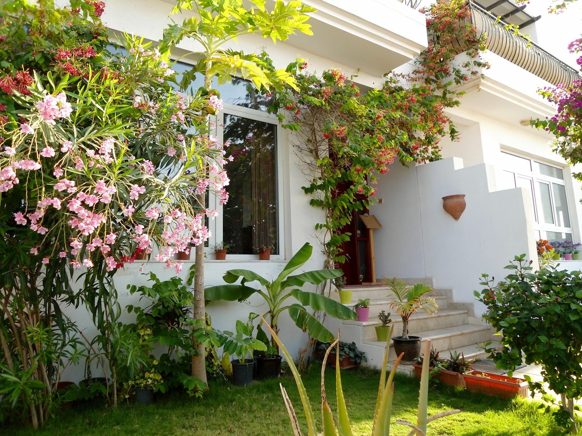 Lana Villa Mascate Exterior foto